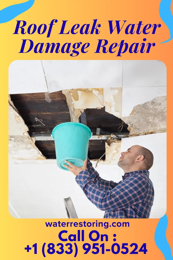 Roof Leak Water Damage Repair in Pine Hollow, OR